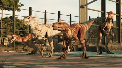 Atrociraptor | Jurassic World Evolution Wiki | Fandom Jurassic World Evolution 2, Jurassic World Evolution, Indominus Rex, Dinosaur Images, Jurassic World Dinosaurs, Jurassic Park World, Prehistoric Animals, Universal Pictures, Jurassic World