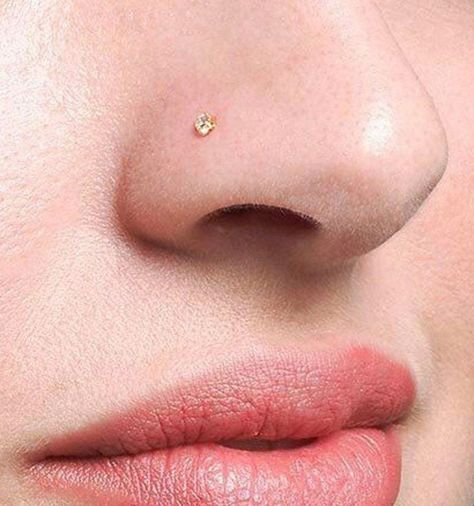 Stud Aesthetic, Nose Peircing, Nose Cuffs, Nose Types, Cute Nose Piercings, Nose Piercing Stud, Small Nose, Ginger Smoothie, Gold Nose Stud