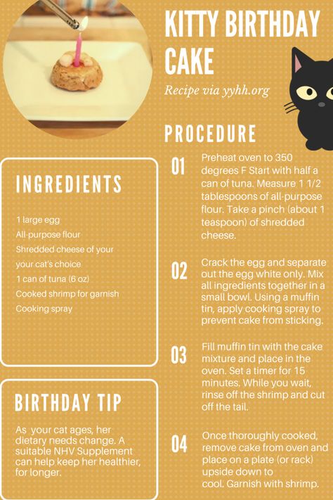 Kitty birthday cake recipeMake this easy and yummy cake for cat on her birthdayAs your cat agesher dietary and health needs tend to changeAsk us for a suitable remedy for your cat Cake Recipe For Cats, Homemade Cat Treats Recipes, Diy Cat Treats, Kitty Birthday Cake, Pet Treats Recipes, Birthday Cake For Cat, Homemade Cat Food, Colorful Hairstyles, Cat Snacks