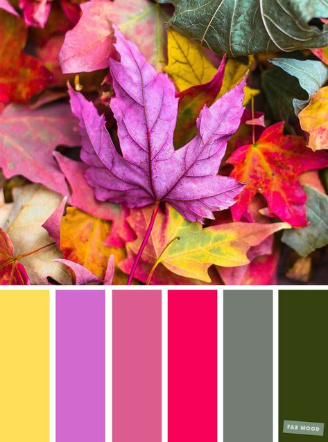 59 Pretty Autumn Color Schemes - Fabmood | Wedding Colors, Wedding Themes, Wedding color palettes #fallcolor #colors #colorpalette #colour #colorschemes Palette Viola, Neon Colour Palette, Orange Palette, Orange Color Palettes, Purple Color Palettes, Color Palette Yellow, Colors Wedding, Color Schemes Colour Palettes, Fall Color Palette