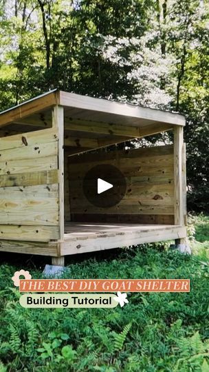 Diy Goat Shelter, Goat Shelter, Best Diy, Pigs, Ducks, Fun Diys, Goats, Building A House, Good Things