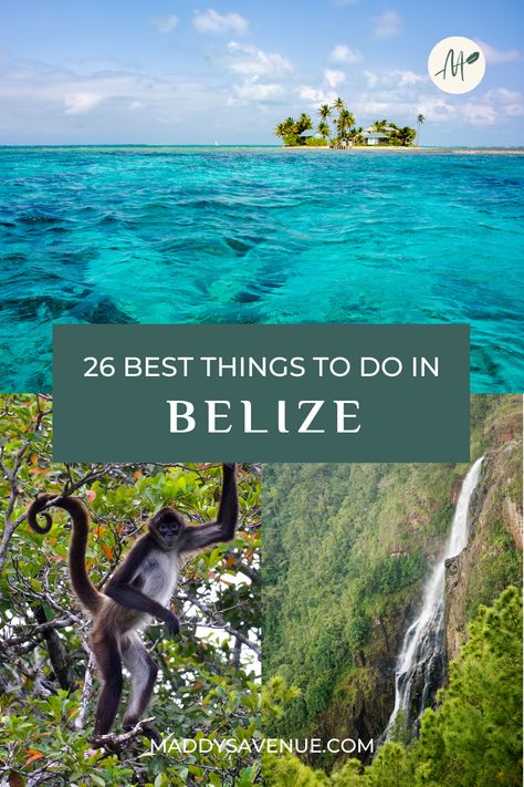 Belize Vacation Outfits, Belize Cruise Port, Belize Itinerary, Hopkins Belize, Things To Do In Belize, Belize Honeymoon, San Ignacio Belize, Belize Travel Guide, Belize Hotels