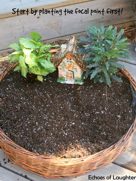 How To Make A Fairy Garden Make A Fairy Garden, Vegtable Garden, Make A Fairy, Fairy Garden Pots, Flower Projects, Fairy Garden Plants, Fairy Garden Furniture, Fairy Garden Designs, Fairy Garden Crafts