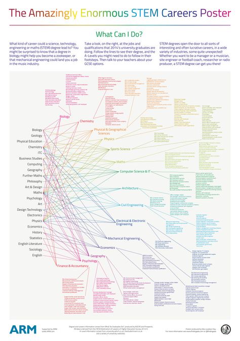 Stem Careers, Different Careers, Math Stem, Career Exploration, Career Counseling, Stem Science, Online College, College Hacks, Education College