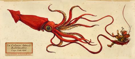 Squid Art Illustrations, Giant Squid Drawing, Cephalopod Art, Squid Drawing, Elk Tattoo, Kraken Tattoo, Squid Tattoo, Sea Creatures Art, Giant Squid