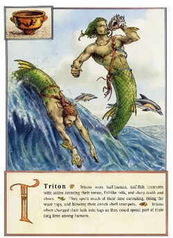 Triton | Warriors Of Myth Wiki | FANDOM powered by Wikia Mystical Creatures Mythology, Son Of Poseidon, Fish People, Sea God, Golden Palace, Bottom Of The Sea, Foster Parent, Architecture Drawing Sketchbooks, Monster Legends