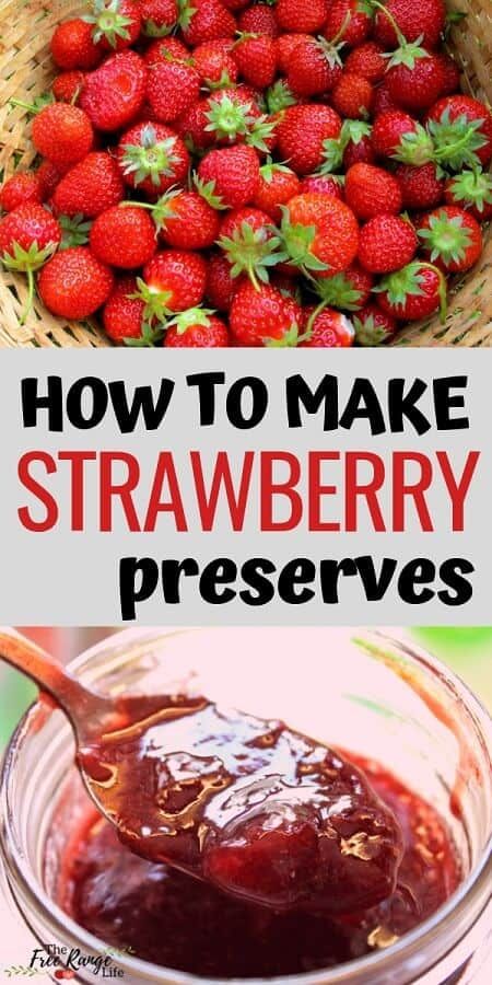 Strawberry Preserves Recipe, Preserve Strawberries, Freezing Strawberries, Canned Strawberries, Fresh Strawberry Recipes, Gardening Indoors, Freezing Food, Strawberry Jam Recipe, Jam Recipes Homemade