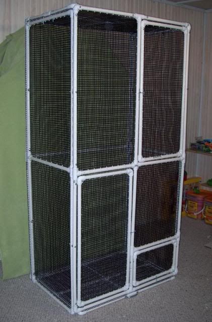 PVC Sugar Glider Cage DIY- I heard something about these maybe not being safe... Research it! Sugar Glider Pet, Sugar Glider Cage, Sugar Glider Toys, Low Maintenance Pets, Pet Bird Cage, Baby Tortoise, Squirrel Cage, Sugar Bears, Sugar Gliders