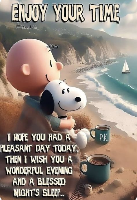 Goodnight Snoopy, Good Night Everybody, Charlie Brown Quotes, Good Night Cat, Prayer For My Family, Good Evening Messages, Good Morning Snoopy, Blessed Night, Snoopy Collectibles