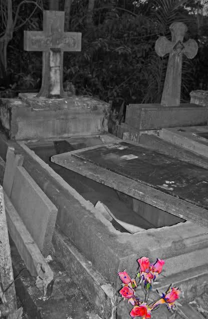 Abandoned Cemetery Abandoned Cemetery, Open Grave, Open Coffin, Head Scratcher, Old Cemetery, Cemetery Statues, Grave Stones, Cemetery Headstones, Aol Mail