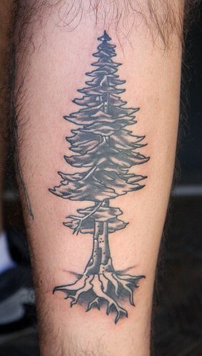 Red Wood Tree Tattoo, Red Wood Tree, Redwood Tree Tattoo, Family Tree Embroidery Design, Henry Tattoo, Family Tree Embroidery, Tree Roots Tattoo, Wood Tattoo, Roots Tattoo