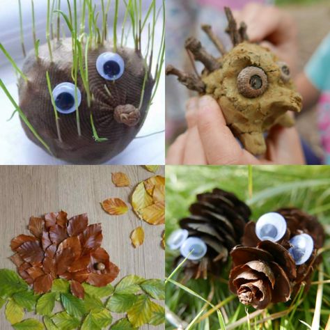 Hedgehog activities and fun facts – Childsplayabc ~ Nature is our playground Hedgehog Activities, Hedgehog House, Baby Hedgehog, Snake Venom, Easy Activities, Nature Play, Outdoor Learning, Hedgehogs, Study Unit