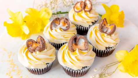 The Cadbury Creme Eggs Cupcakes You've Been Waiting For Easy Chocolate Cupcake Recipe, Best Cupcake, Creme Eggs, Chocolate Peanut Butter Cupcakes, Egg Cupcakes, Hostess Cupcakes, Cadbury Creme Egg, Fun Cupcake Recipes, Candy Egg