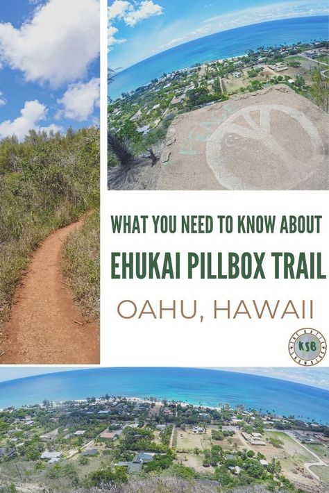 Here's everything you need to know to hike the Ehukai Pillbox Trail on Oahu, Hawaii. Ehukai Pillbox Hike, Surf Competition, Hilton Hawaiian Village, Turtle Bay Resort, Hawaii Adventures, Turtle Bay, Pill Boxes, Oahu Hawaii, Cheap Travel