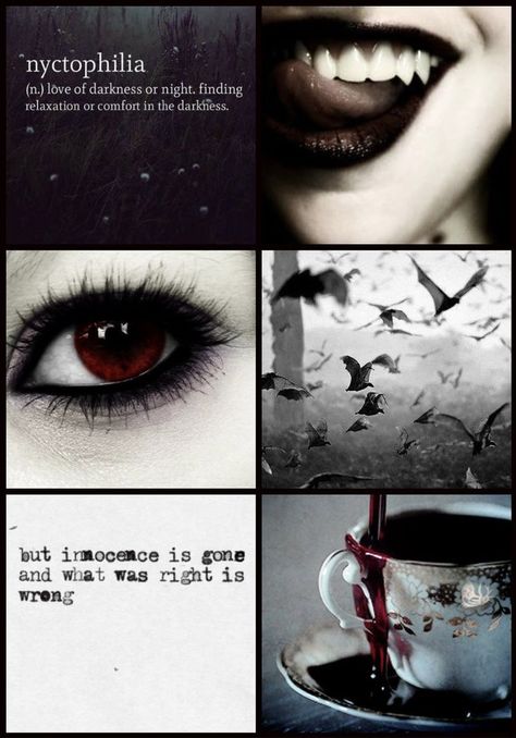 Vampire Aesthetic Wallpaper, Creature Aesthetic, European Folklore, Dark Vampire, Vampire Aesthetic, Dracula, Aesthetic Wallpaper, Supernatural, Ginger