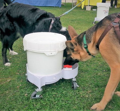 Critter Concepts Automatic Dog Water Bowl 3.5 Gallons By Dog Water Dispenser that is virtually indestructible used by dog daycares and dog pros. The last Automatic Dog Waterer that you will buy. >>> Details can be found by clicking on the image.-It is an affiliate link to Amazon. #dogfeeder Diy Dog Water Dispenser, Diy Gravity Dog Feeder, Dog Water Bowl Ideas For Sloppy Drinkers, Dog Feeder Automatic Diy, Automatic Water Bowl Dogs, Automatic Dog Waterer, Jug Dog, Dispenser Diy, Dog Water Fountain