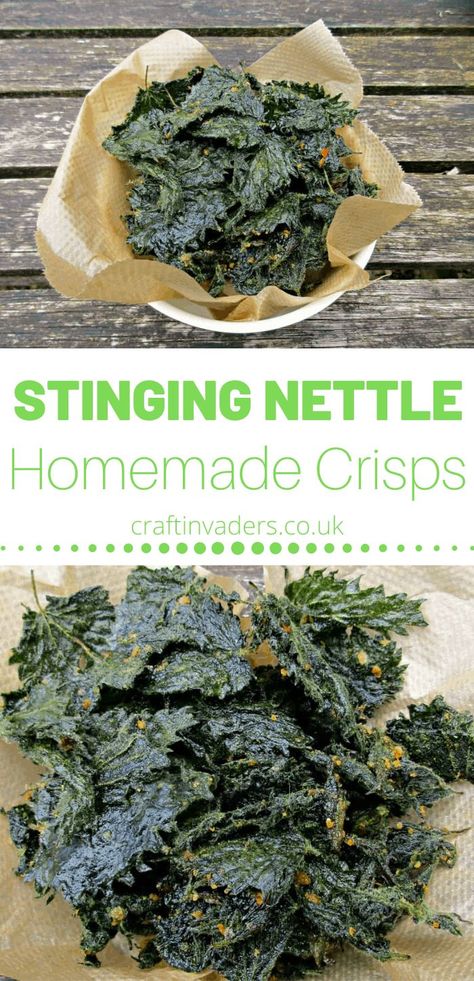 Today I am sharing my favourite stinging nettle recipe – Nettle Crisps. They are cheap and simple to make, delicious and incredibly healthy! Homemade Crisps, Nettle Recipes, Wild Food Foraging, Foraging Recipes, Foraged Food, Stinging Nettle, Yummy Healthy Snacks, Herbal Recipes, Köstliche Desserts