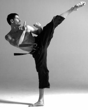 Martial Arts Photography, Drawing Poses Male, Kyokushin Karate, Male Pose Reference, Desain Editorial, Pencak Silat, Action Pose, Martial Arts Training, Anatomy Poses