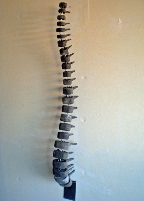 Keith Nolan Sculpture, Spine, 2012, Wood and Aluminum Wire Ribcage Clay Sculpture, Spine Sculpture Art, Crochet Spine, Spine Sculpture, Cardboard Skeleton, Spine Art, Personal Project Ideas, Skeleton Body, Cardboard Sculpture