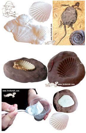 Stone Age Stem Activities, Caveman Party, Diy Fossils, Fossils Activities, Fossil Art, Prehistoric Age, Dinosaurs Preschool, Rocks And Fossils, Dinosaur Crafts