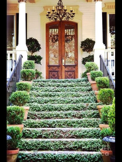 Creeping fig on stair risers Front Steps, Interior Modern, Stairway To Heaven, Beautiful Doors, Stairs Design, Unique Ideas, My Dream Home, Future House, Design Interior