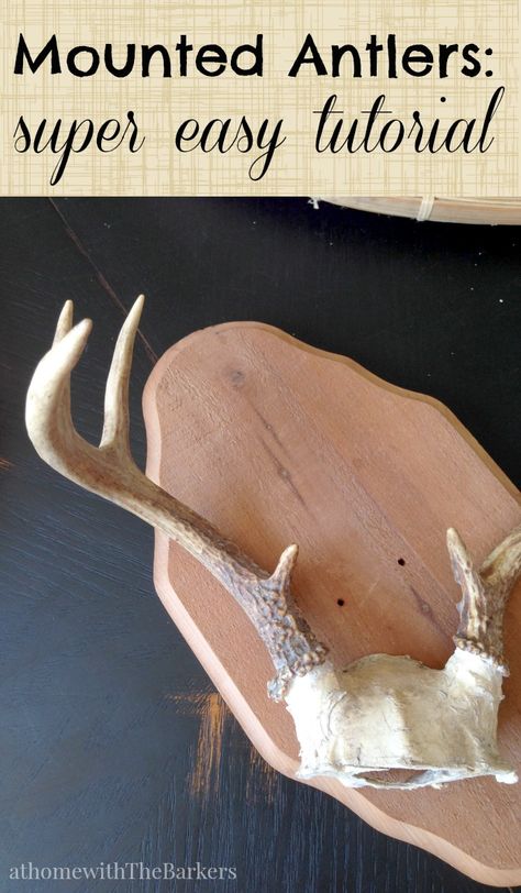 Mounted Antlers-Super Easy Tutorial Deer Antlers Diy, Deer Antler Ideas, Antler Mounts, Diy Antlers, Deer Antler Mount, Mounted Antlers, Deer Antler Crafts, Antler Ideas, Antler Mount