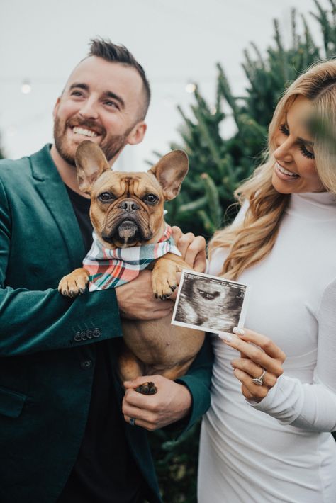 Whitney Dillon, Baby Christmas Card Ideas, Christmas Tree Farm Photo Shoot, Pregnancy Prayer, Baby Christmas Card, Austin Dillon, Baby Announcement Photoshoot, Christmas Baby Announcement, Cute Pregnancy Announcement