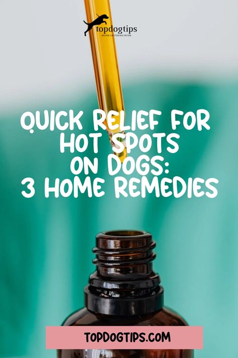 Quick Relief for Hot Spots on Dogs: 3 Home Remedies Dog Calming Remedies, Skin Irritation Remedies, Dog Itchy Skin Remedy, Hot Spots On Dogs, Itchy Skin Remedy, Itchy Dog Skin, Homemade Salve, Dog Hot Spots, Itchy Dog