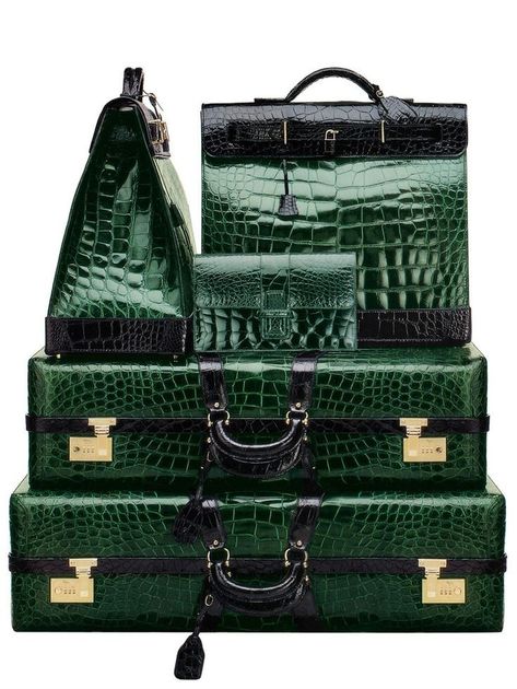 Hand Bags Ideas, Unconventional Design, Luxury Luggage, Bags Ideas, Unique Handbags, Crocodile Bags, Luggage Bags Travel, Travel Handbags, Celine Luggage