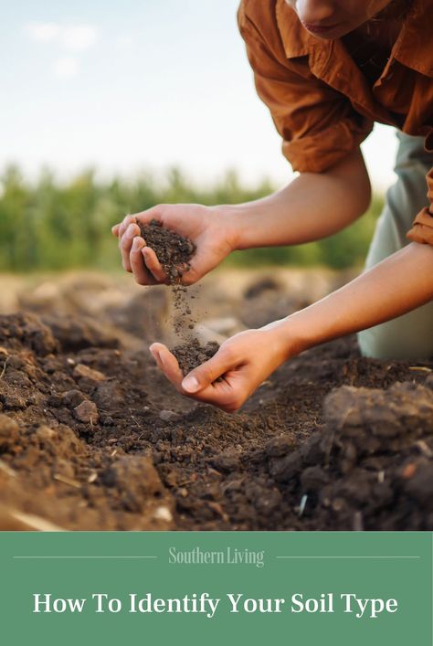 At the link, learn how to identify your soil type so you can hone garden management strategies and build a healthy base for your plants. #gardenideas #soil #soiltypes #gardening #southerngardening #southernliving Planting In Sandy Soil, Grass Seed Types, Planting Grass, Soil Type, Soil Texture, Acid Loving Plants, Types Of Grass, Southern Garden, Thriving Garden