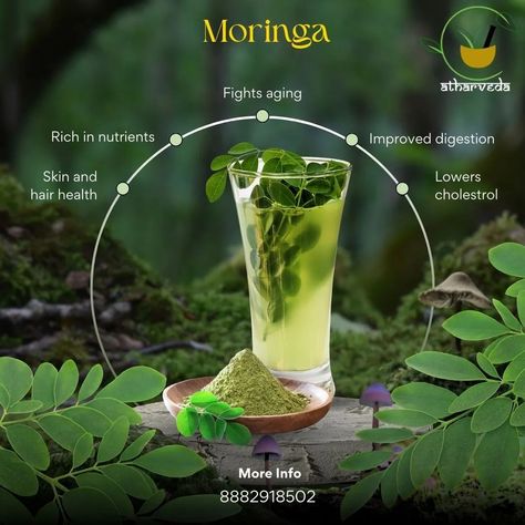 "Moringa: The Miracle Tree Packed with Nutrients and Healing Properties." #atharveda #Ayurveda #AyurvedicRemedies #MoringaBenefits #skincare #skincareproducts #skintreatment #skinhealth #naturalhealing #naturalremedies #NaturalWellness #naturalglow #NaturalCures #healthylifestyle #healthyhabits #hairfall #HerbalMedicine #healthyfood #instagramreels #instagood #instapost #instagram Moringa Benefits, Ayurvedic Therapy, Miracle Tree, Moringa Powder, Ayurvedic Healing, Ayurvedic Remedies, Healthy Cholesterol Levels, Health And Vitality, Health Routine