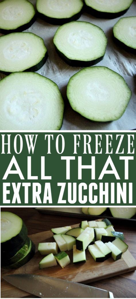 How To Freeze Zucchini, Freezing Veggies, Zucchini Zoodles, Storing Produce, Freezing Tomatoes, Freezing Zucchini, Freezing Vegetables, Freezing Food, Summer Vegetables