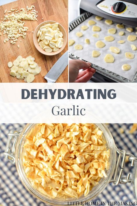 If you're interested in preserving garlic for your food storage, or just as a way to deal with a bumper crop, try this easy dehydrator recipe for drying garlic. Oven instructions are included so you can easily dry and preserve your fresh garlic for the year ahead. Make your own garlic powder too! Dehydrating Garlic, Dehydrate Garlic, Drying Garlic, Preserve Garlic, Garlic Oven, Preserving Garlic, Dehydrated Garlic, Dehydrating Food Storage, Dried Garlic