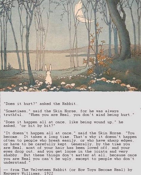 The Velveteen Rabbit, Velveteen Rabbit, Spiritual Healing, Poetry Quotes, Pretty Words, Beautiful Quotes, Beautiful Words, Book Quotes, Wise Words