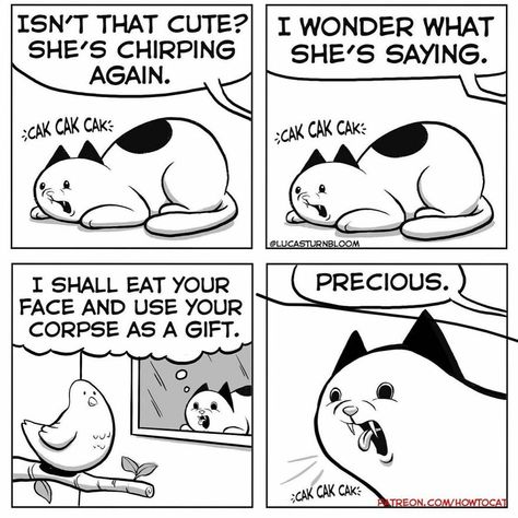 Daily Struggles And Life With A Cat: 30 Funny Comics By “How To Cat” (New Pics) Adopt A Cat, How To Cat, Silence Of The Lambs, Cat Puns, Cat Jokes, Cat Comics, Fast Forward, Cute Comics, Cat Adoption