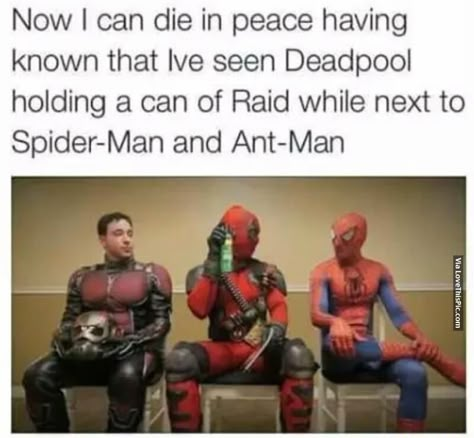 Deadpool Holding A Can Of Raid Next To Spider-Man And Ant-Man Funny Marvel Memes, Funny Disney, Dc Memes, Avengers Memes, Marvel Jokes, Avengers Funny, Marvel Funny, Marvel Memes, Disney Shirts