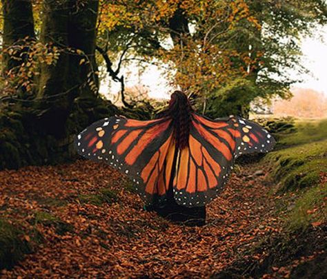 Butterfly Cloak, Monarch Fairy, Fairy Cape, Butterfly Wings Costume, Giant Butterfly, Cape Cloak, Cape Costume, Butterfly Costume, Beach Scarf