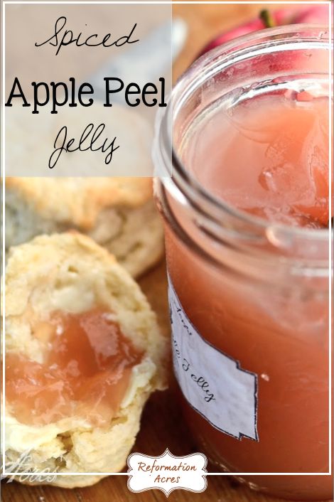 ~Spiced Apple Jelly~ | Spiced Apple Jelly, Apple Peel Jelly, Apple Jelly, Canning Jam, Canning Food Preservation, Jam And Jelly, Jelly Recipes, Dehydrated Food, Spiced Apples