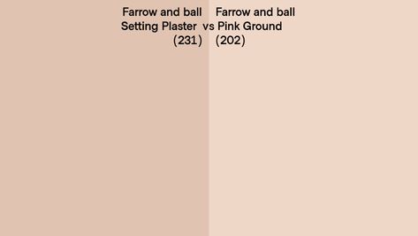 Farrow and ball Setting Plaster (231) vs Pink Ground (202) side by side Odessa Pink, Farrow And Ball Pink Ground, Farrow And Ball Pink, Setting Plaster, Pink Ground, Paint Colors Benjamin Moore, Benjamin Moore Paint, Farrow And Ball, Pink Paint