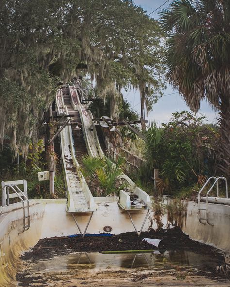 Wild Waters – Abandoned Southeast Abandoned Water Parks, Park Concept, Park Painting, Abandoned Theme Parks, Abandoned Photography, Park Aesthetic, Abandoned Amusement Park, Ferris Wheels, Wild Waters