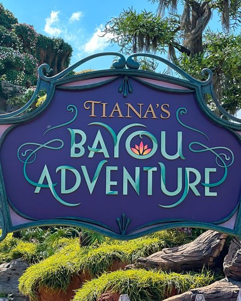 Counting down the days until Tiana’s Bayou Adventure opens! ⚜️💜🪷 The construction walls came down a few days ago so we headed over to Magic Kingdom to take a look. While we were there we saw some test riders and boats, Disney filming for promotion, and heard some of the soundtrack. I absolutely cannot wait to ride - in just a few days! 👀 #tianasbayouadventure #magickingdom #theprincessandthefrog #princesstiana #disneyworld #disneyparks #disneyphotos Tianas Bayou Adventure, Senior Hoco, School Door Decorations, School Doors, We Were There, Disney Rides, Disney Princes, Disney Photos, Disney Aesthetic