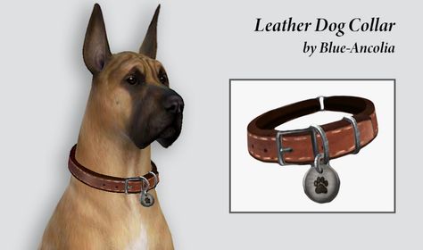 ✔️ Leather Dog Collar Blue Ancolia, Sims Pets, Alpha Cc, Personalized Leather Dog Collar, Luxury Dog Collars, Sims Ideas, Dog Collar Tags, Custom Dog Collars, Personalized Dog Collars