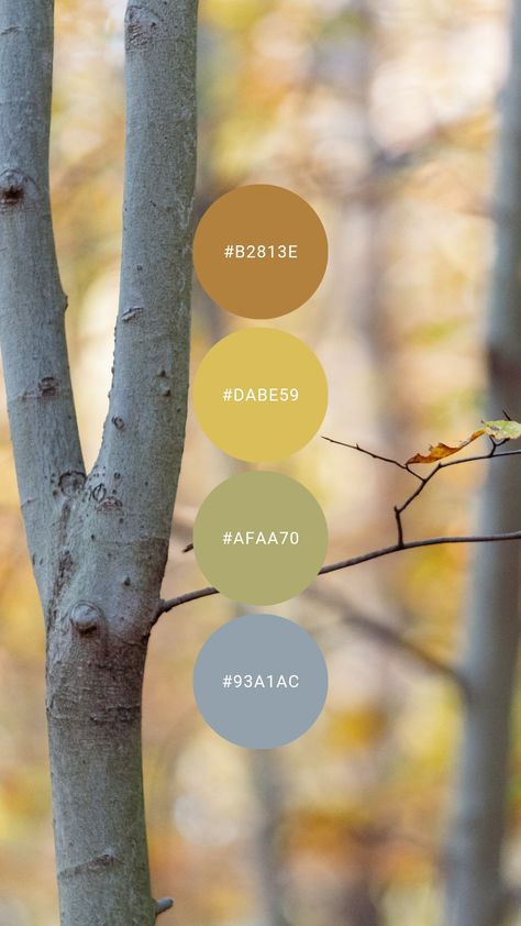 Gentle fall tints to bring in the season with a little less intensity. Try it in the kitchen, bathroom, home office, or guest room. #colourpalette #colorpalette #autumn #fall #pastel #light Light Pastel Color Palette, Natural Colour Scheme, Hex Color Palette, Color Fields, House Color Schemes, Nature Color Palette, Color Lab, Pastel Colour Palette, Brand Color Palette