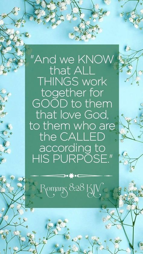 Scripture Verses Kjv, Bible Verses Kjv, King James Bible Verses, Bible Verse Background, All Things Work Together, Beautiful Bible Verses, Spiritual Truth, Encouraging Bible Verses, Biblical Verses