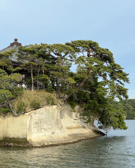 ✨One of my newest blog articles: “Discover Matsushima: Complete Travel Guide to Japan’s Scenic Bay” Nestled along the northeastern coast of Japan in the Tohoku region, Matsushima is a must-visit destination in Miyagi Prefecture for nature lovers and travelers looking for a relaxing getaway. In my article, I share my favorite spots to discover in Matsushima as well as some recommendations for accommodation and restaurants that I particularly enjoyed. 🤩 ➡️ To read my blog article, head to ... Madang Province, Macritchie Reservoir Singapore, Nagano Prefecture, Masahiko Kimura Bonsai, Okinawa Prefectural Museum, Miyagi, Nature Lover, Travel Guide, Japan