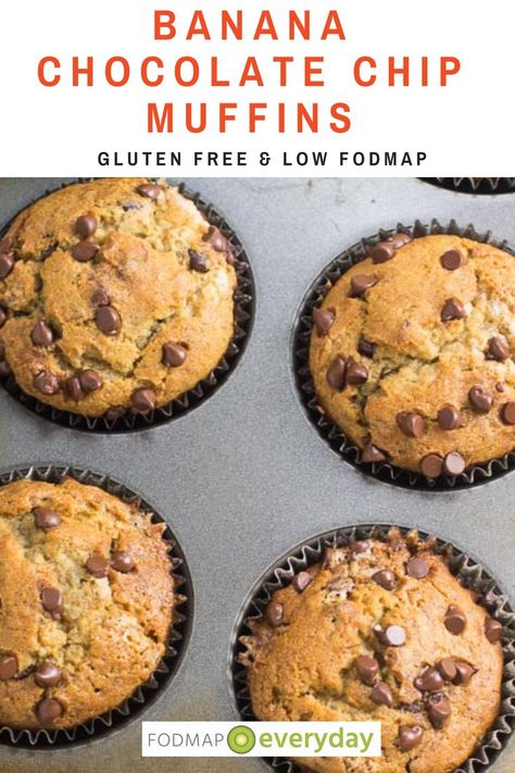 Ibs Diet Recipes, Fodmap Baking, Fodmap Desserts, Ibs Friendly Food, Fodmap Recipes Dinner, Low Fodmap Recipes Dinner, Fodmap Meal Plan, Fodmap Breakfast, Low Fodmap Snacks