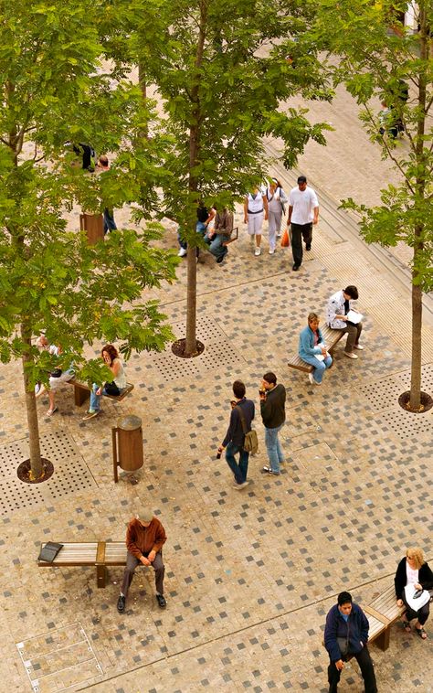 Graeme Massie Architects · Bonn Square, Oxford · Divisare Photoshop Tree, Pavement Design, Plaza Design, Henning Larsen, Landscape Design Drawings, Paving Design, Urban Landscape Design, Public Space Design, Public Realm