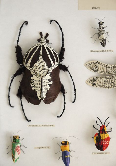 Goliath beetle, made using recycled leather, book pages and wire. Created by artist Kate Kato - aka Kasasagi ( www.kasasagidesign.com ) Insect Display, Folding Origami, Bug Art, Beautiful Bugs, Creepy Crawlies, Insect Art, Bugs And Insects, Recycled Art, Kirigami