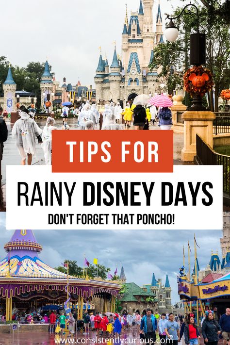 Florida is known for rain showers, which means you will likely experience a little rain during your visit to Disney World. Here are our top tips for overcoming rainy days in Disney World. First Tip: Pack a Poncho! #rainydayatdisney #disneyworld #rainatdisney #rainydisneyday Rainy Day Theme Park Outfit, Rainy Day Disney Outfit, Disney Rainy Day Outfit, Epcot Attractions, Disney World Secrets, Walt Disney World Orlando, Theme Park Outfits, Disney World Outfits, Travel Uk