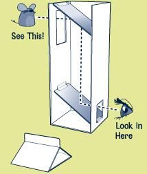 This fun activity uses simple materials such as milk cartons and mirrors to introduce the ideas of optics and visual perception. The project is easy to do, however adult assistance may be needed to help learners cut out the cartons. Once they build their periscopes, participants can have fun looking over, under and around things. This activity can also be linked to other spy themed projects or a discussion on submarines and underwater exploration. Periscope Craft, Periscope Diy, Geheimagenten Party, Cardboard Chair, School Science Projects, Climate Adaptation, Milk Cartons, Colored Pencil Artwork, Science Projects For Kids